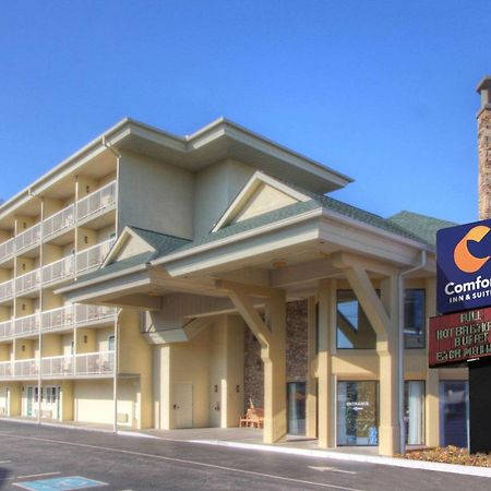 Comfort Inn & Suites At Dollywood Lane Пиджен-Фордж Экстерьер фото